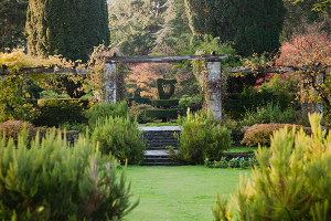 The Shamrock Garden at Mount Stewart, Northern Ireland