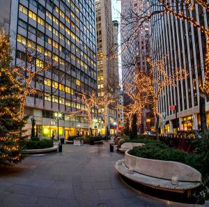 The Queen Elizabeth Garden sits within NYC's Financial District