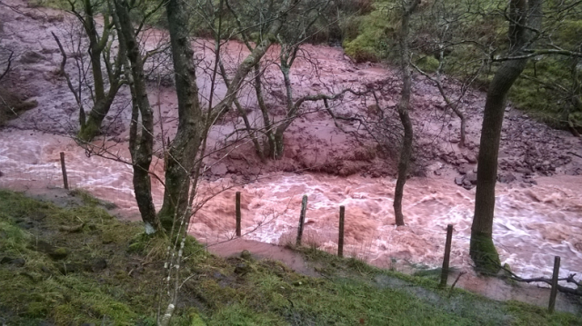 Nant Ddu (Nant Ddu means black stream in Welsh… currently not black) the mud, clay and silt is being washed down stream to the reservoirs. Will this become a more permanent feature of our upper valleys? flooding, landslides, turbidity, cost…!
