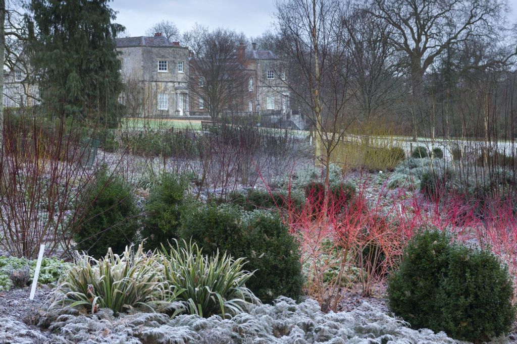 Mottisfont gardens in winter ©National Trust Images John Miller