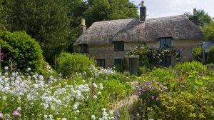 Hardy's Cottage, Dorset, where Hardy was born in 1840 National Trust Images / Robert Morris