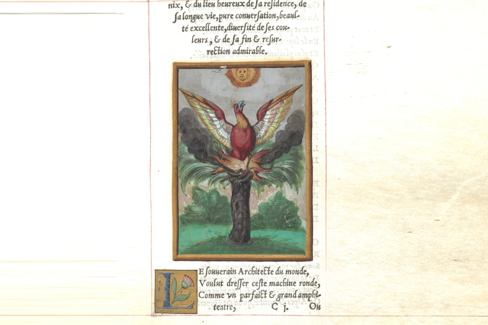 Guy de la Garde L'Histoire et description du Phoenix British Library