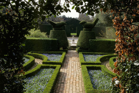 The square borders of the Fuchsia Garden with scilla sibiricas in Spring at Hidcote Manor Garden, Gloucestershire ©National Trust Images/Andrew Lawson