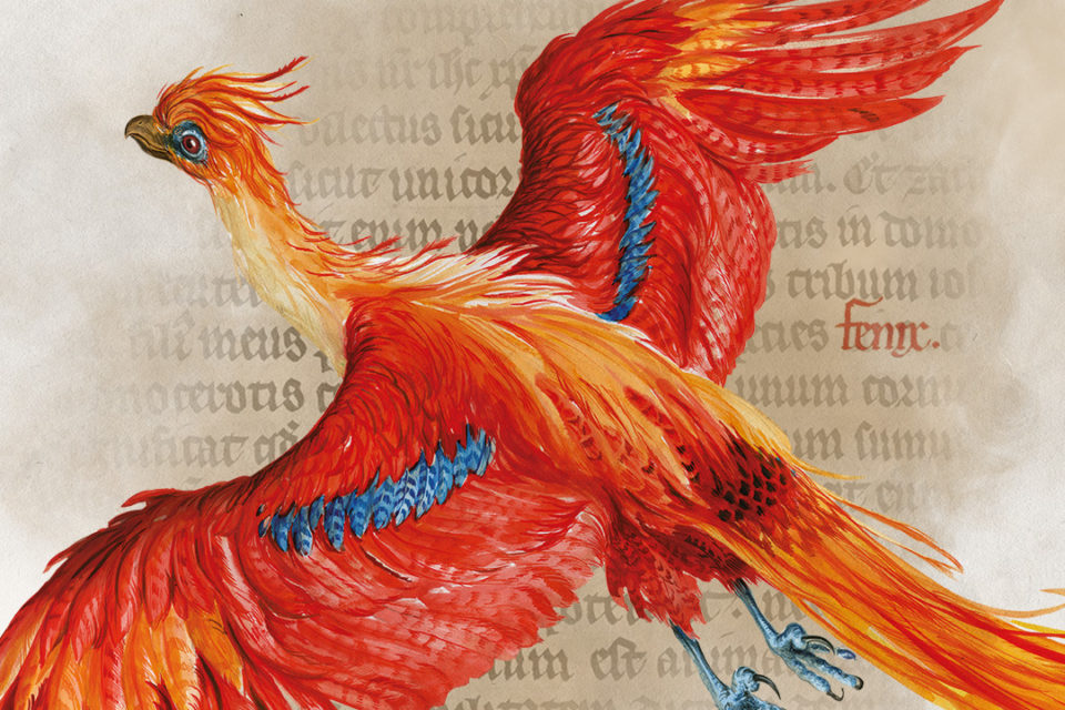 Phoenix (detail) by Jim Kay © Bloomsbury Publishing