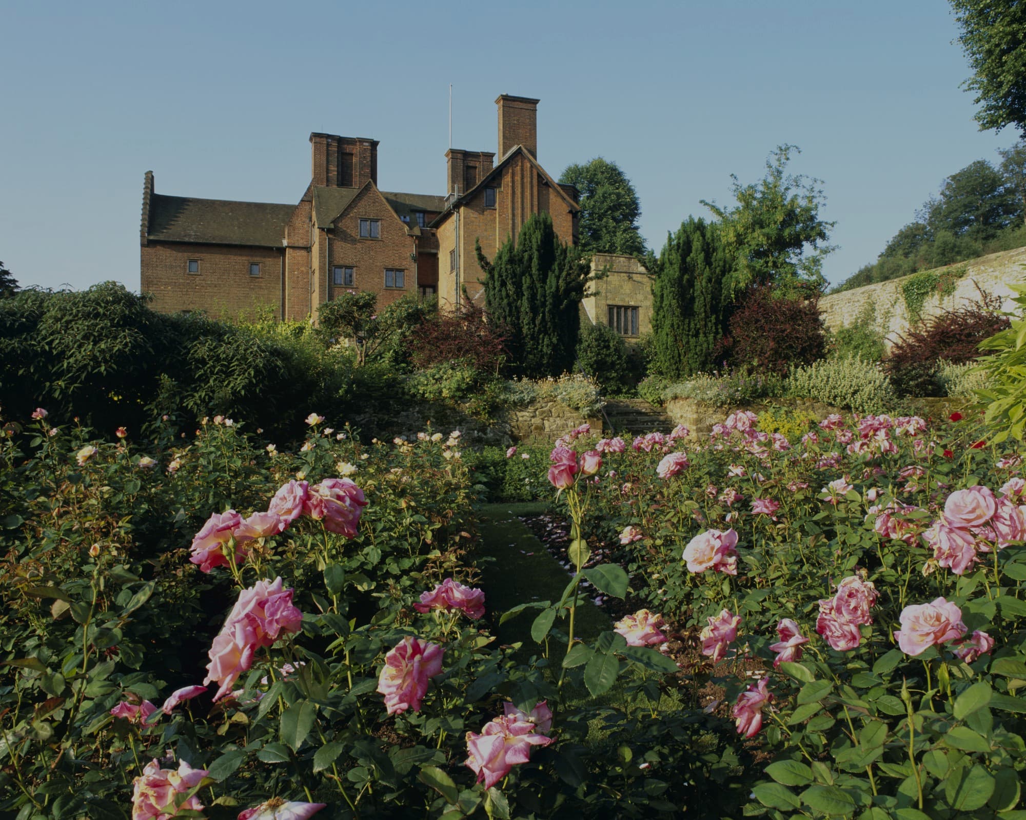 About Us The Royal Oak Foundation