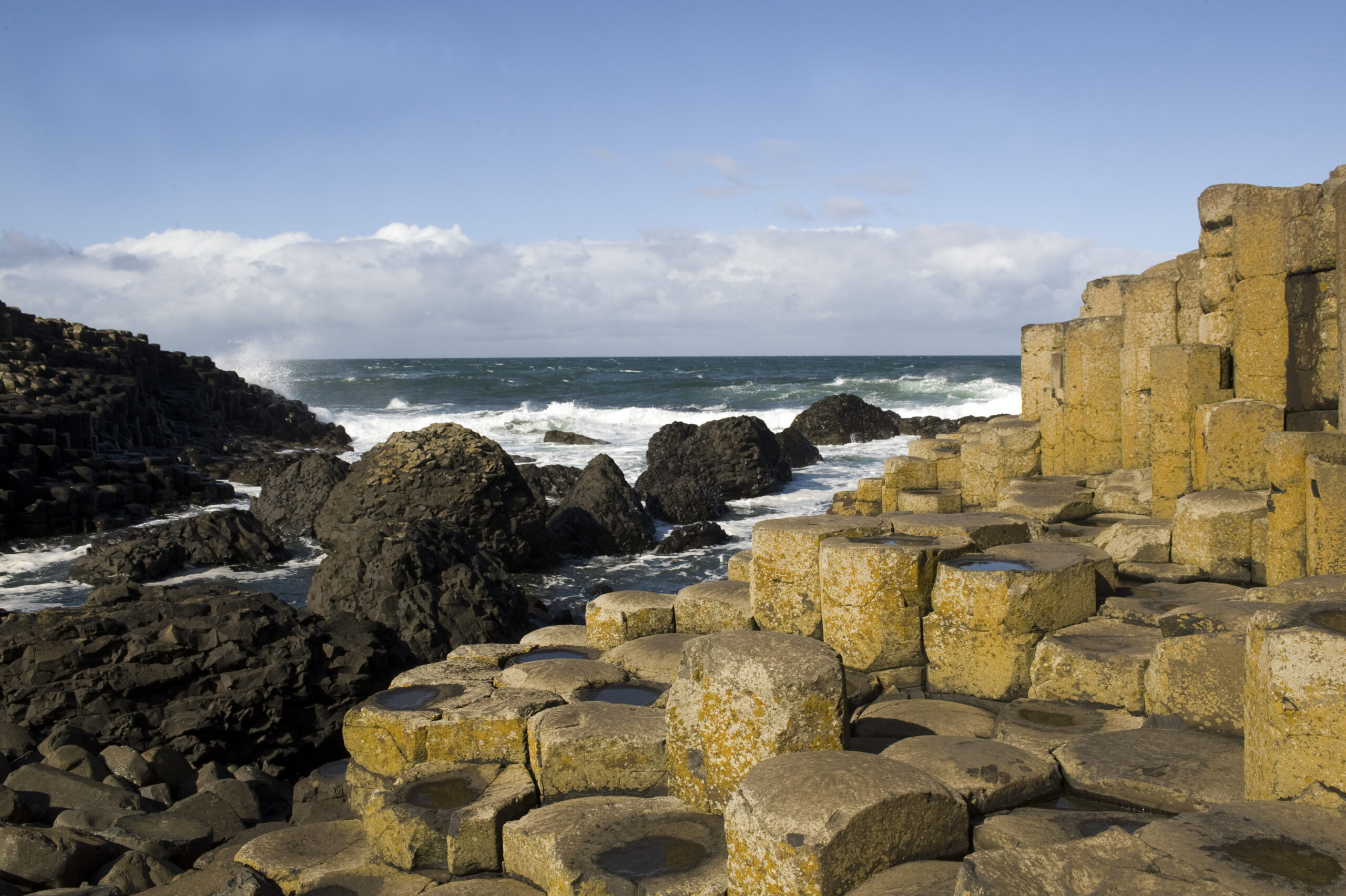 Royal Oak News The Royal Oak Foundation