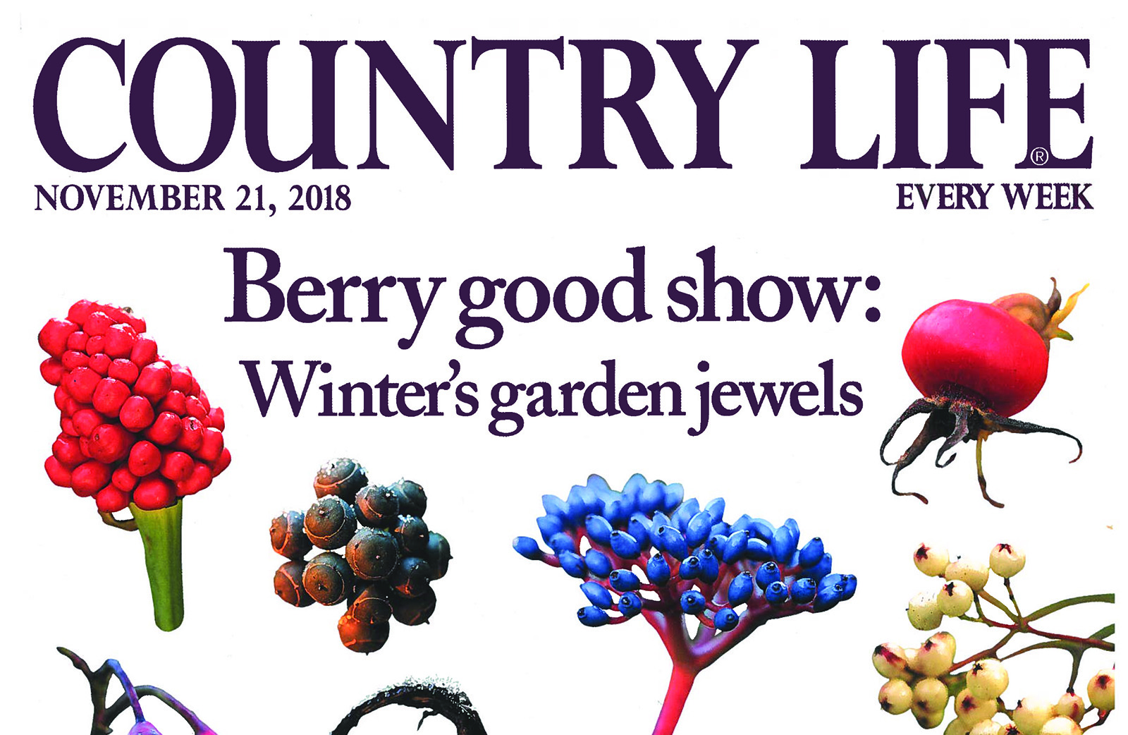 A Review from Country Life The Royal Oak Foundation