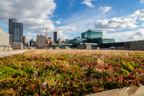 Javits Center Green Roof