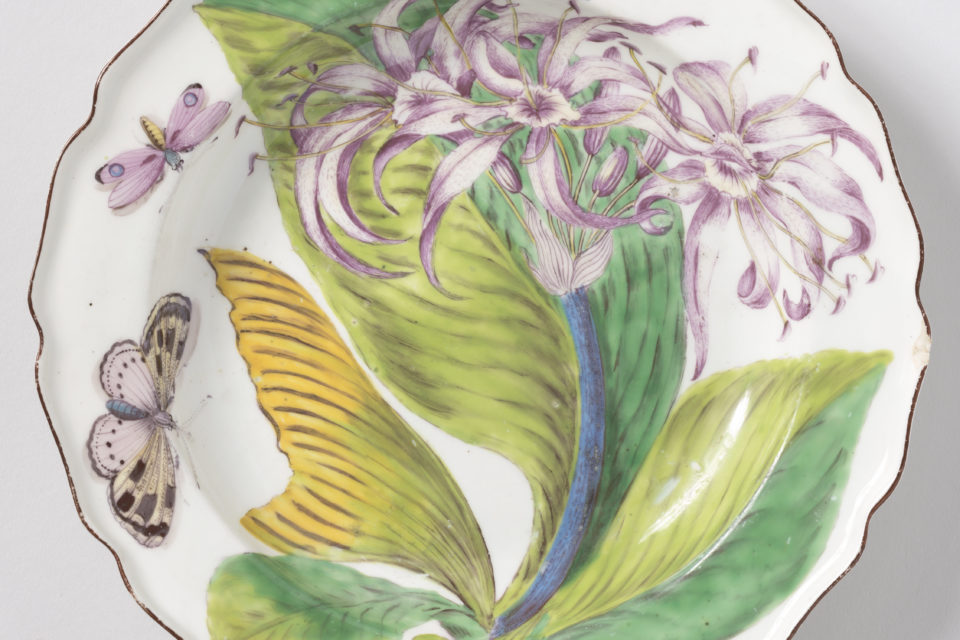Plate, ca. 1753-1756; Chelsea Porcelain Manufactory; Gift of Irwin Untermyer; Cooper Hewitt. Photo Matt Flynn © Smithsonian Institution