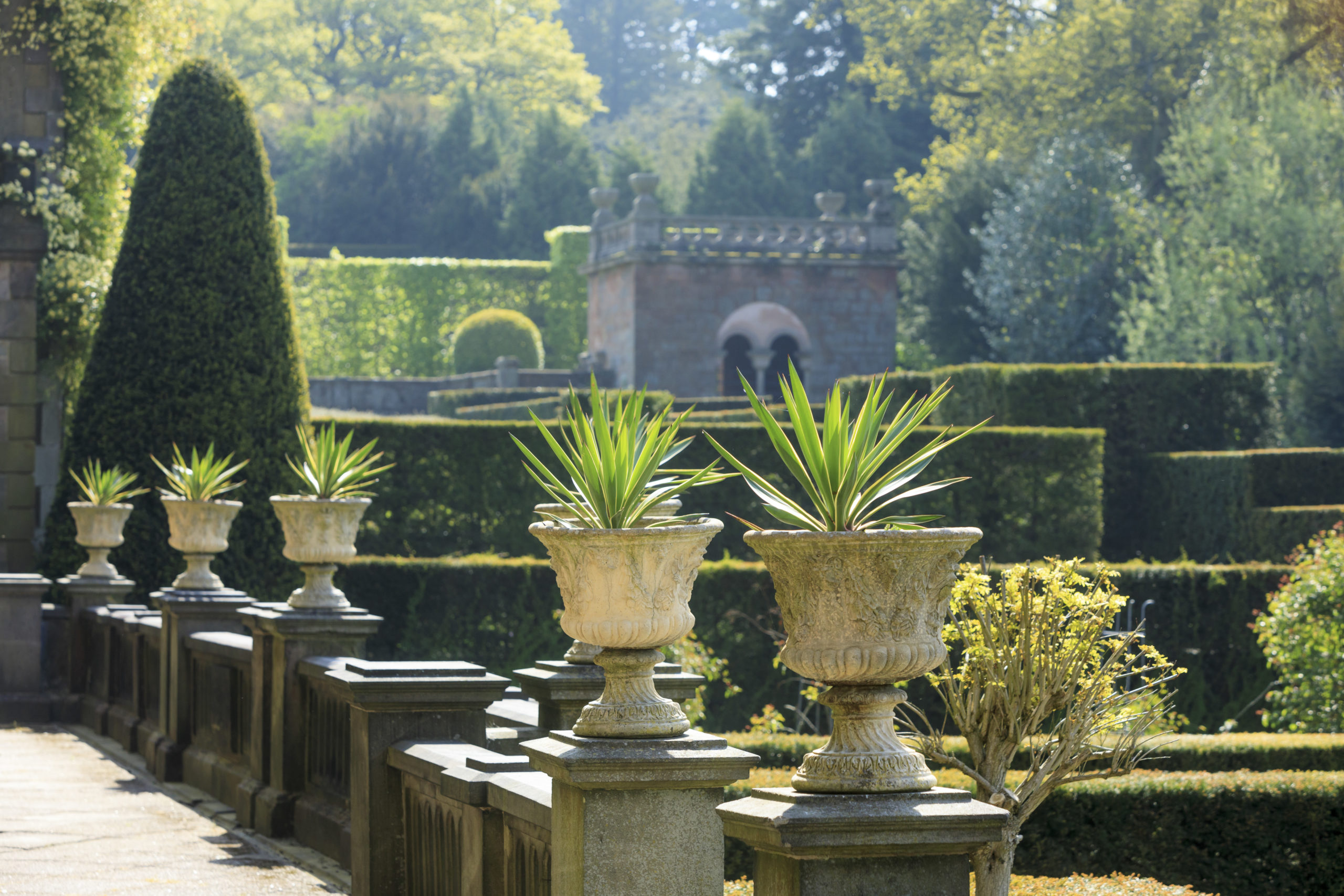 Special Discount GARDENS2020 The Royal Oak Foundation