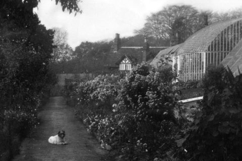 Early photograph of the 1830s glasshouse at Quarry Bank