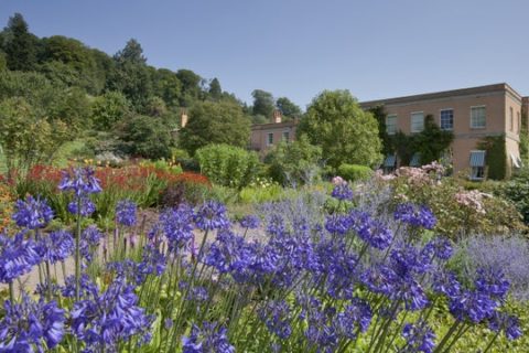 Killerton's garden, a canvas of colour in the Summer