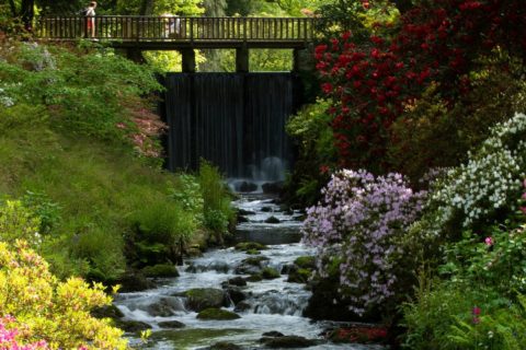 The Waterfall Bridge in The Dell at Bodnant Garden