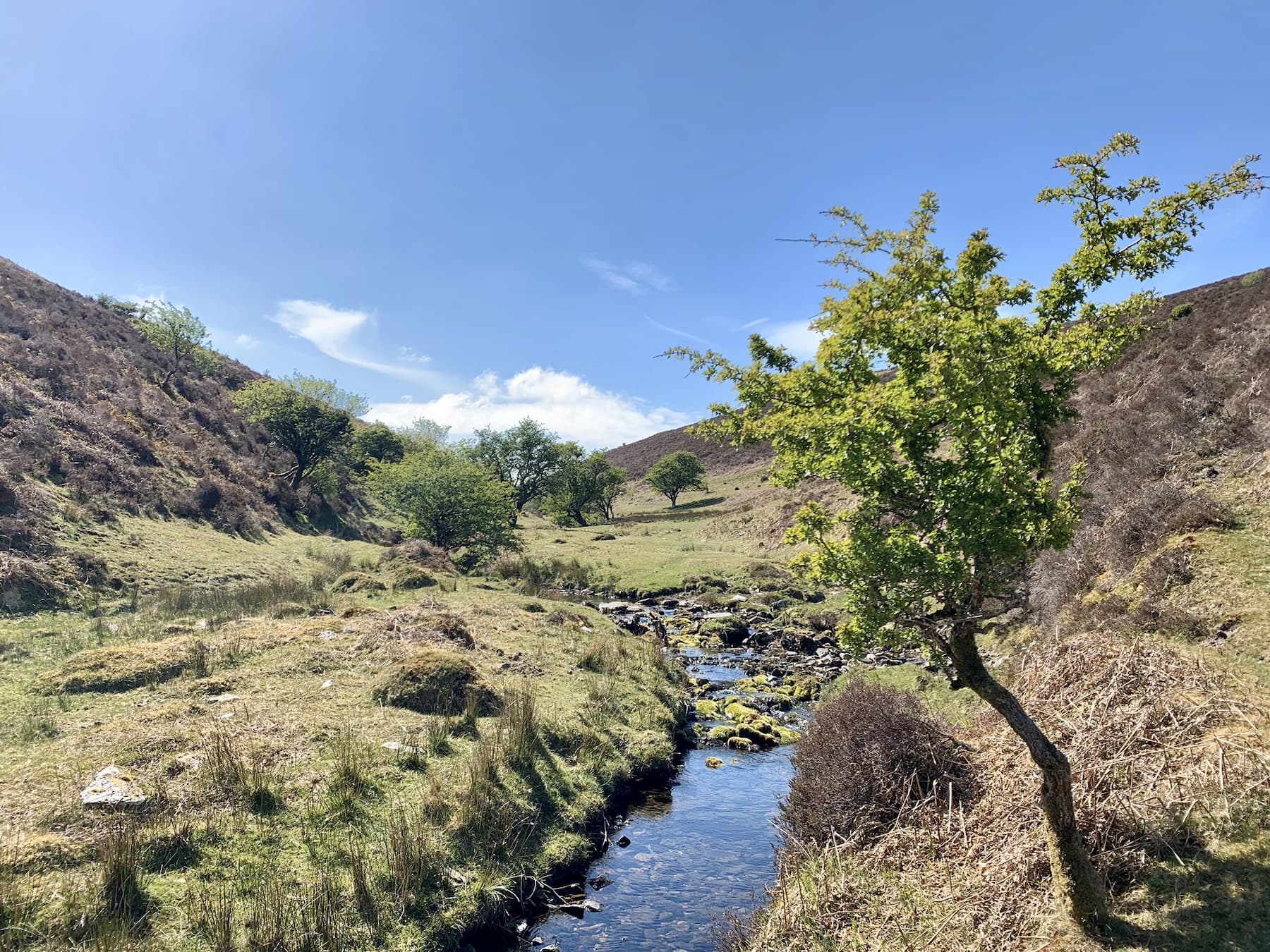 Higher up the Combe (Lankcombe water). Accessible via the Lorna Doone valley & Cloud Farm campsite. ©Sarah Hailstone