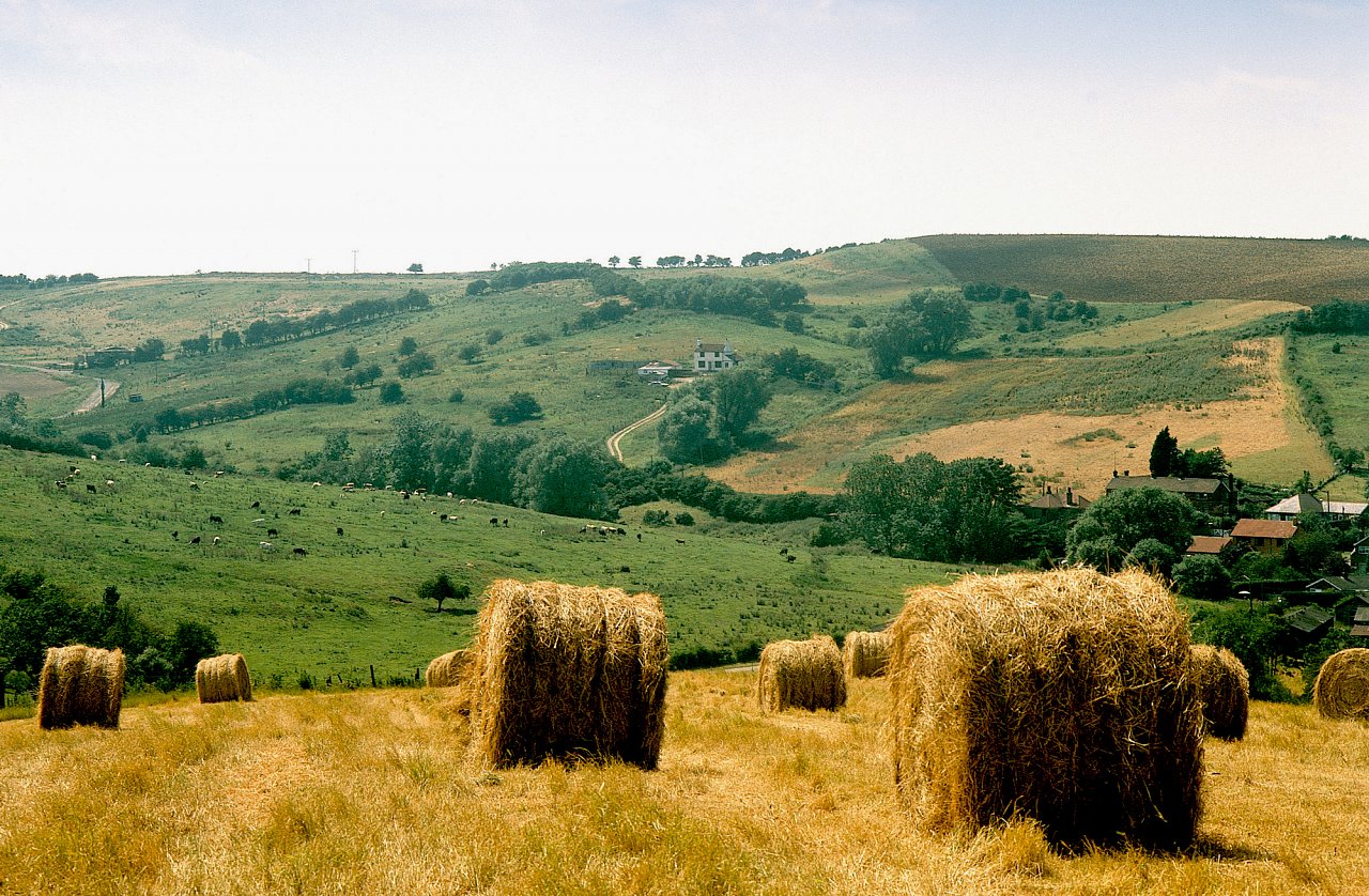 Lincolnshire Wolds