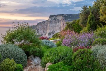 Naturally Beautiful Garden