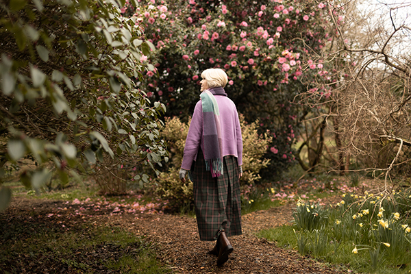 A visitor among early spring blooms at Buckland Abbey.