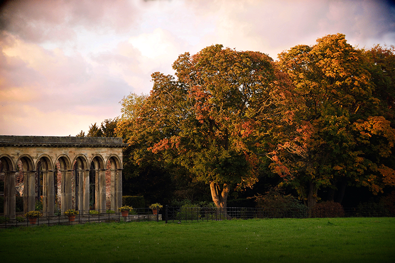 Reds could dominate autumn color this year, as in this archive image of Gibside. © National Trust/John Millar